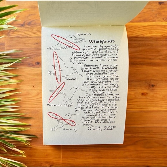 VINTAGE 1987 Hummers: Hummingbirds of North America - Pocket Nature Guide - Picture 6 of 8